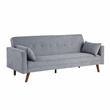 Carolina Classics  Evelina Convertible Sleeper Sofa with Pillows in Gray