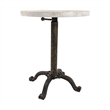 Carolina Classics Colton Adjustable Vintage Table in Natural Driftwood/Aged Iron
