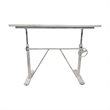 Carolina Classics Brio Sit or Stand Adjustable Desk in Whitewash
