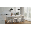 Carolina Classics  Set of 2 Tristan Backless Counter Stool in Antique White