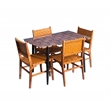 Carolina Classics Waverly Acrylic Plastic/Wood Dining Table in Honey Gold/Black