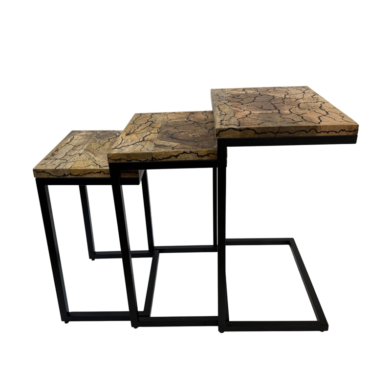 Carolina Electra 3 Piece Nesting Table Set in Electrified Wood in Black Iron