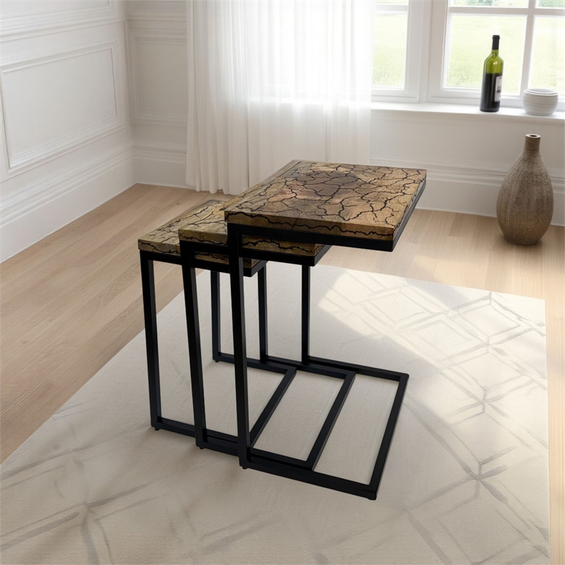 Carolina Electra 3 Piece Nesting Table Set in Electrified Wood in Black Iron
