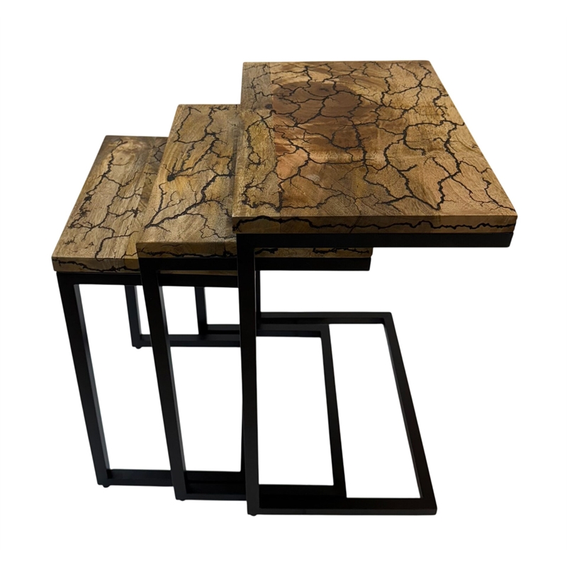 Carolina Electra 3 Piece Nesting Table Set in Electrified Wood in Black Iron