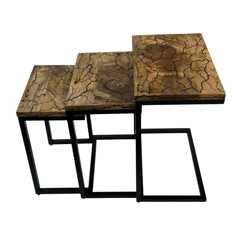 Carolina Electra 3 Piece Nesting Table Set in Electrified Wood in Black Iron