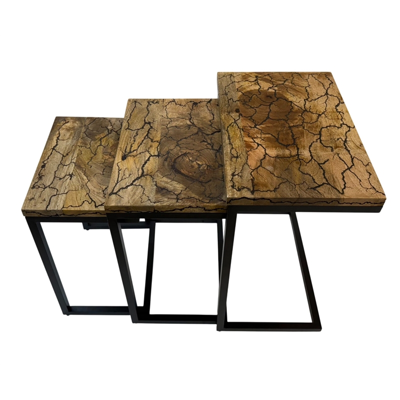 Carolina Electra 3 Piece Nesting Table Set in Electrified Wood in Black Iron