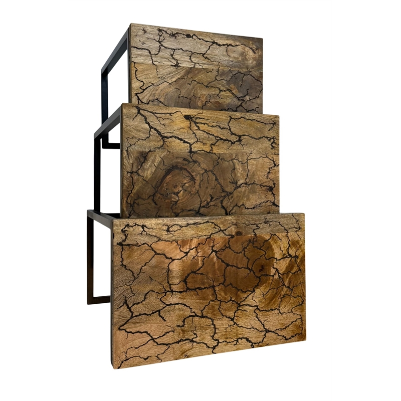 Carolina Electra 3 Piece Nesting Table Set in Electrified Wood in Black Iron