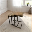 Carolina Electra 3 Piece Nesting Table Set in Brass/Indstrial Iron