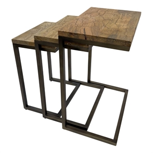 Carolina Electra 3 Piece Nesting Table Set in Brass/Indstrial Iron