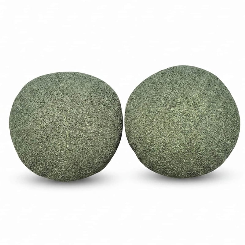 Carolina Chair & Table Lille Decor Pillow in Olive (Set of 2)