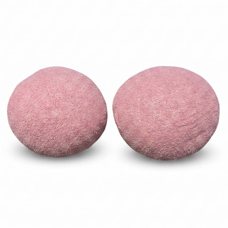Carolina Chair & Table Lille Decor Pillow in Blush (Set of 2)