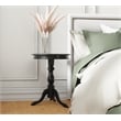 Carolina Classic Leeann Pedestal Accent Table in Black