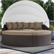 Modway Convene Canopy Aluminum and Rattan Patio Daybed in Mocha/Espresso