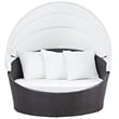 Modway Convene Canopy Aluminum and Rattan Patio Daybed in Espresso/White