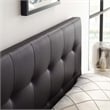 Modway Lily Queen Upholstered Faux Leather and Wood Headboard in Brown