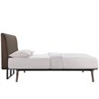 Modway Tracy Modern MDF and Rubberwood Queen Bed in Cappuccino/Brown