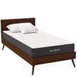 Modway Aveline 8