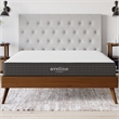 Modway Aveline 8