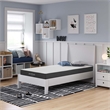 Modway Aveline 6