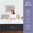 Modway Aveline 8