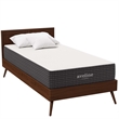 Modway Aveline 10