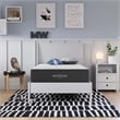 Modway Aveline 10