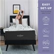 Modway Aveline 10