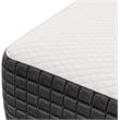 Modway Aveline 10