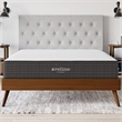 Modway Aveline 10