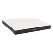 Modway Aveline 8