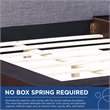 Modway Freja 3-Piece Queen Fabric and Wood Bedroom Set in Cappuccino/Gray