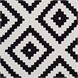 Modway Alika Trellis 5' x 8' Area Rug in Black and White