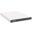 Modway Mila 6