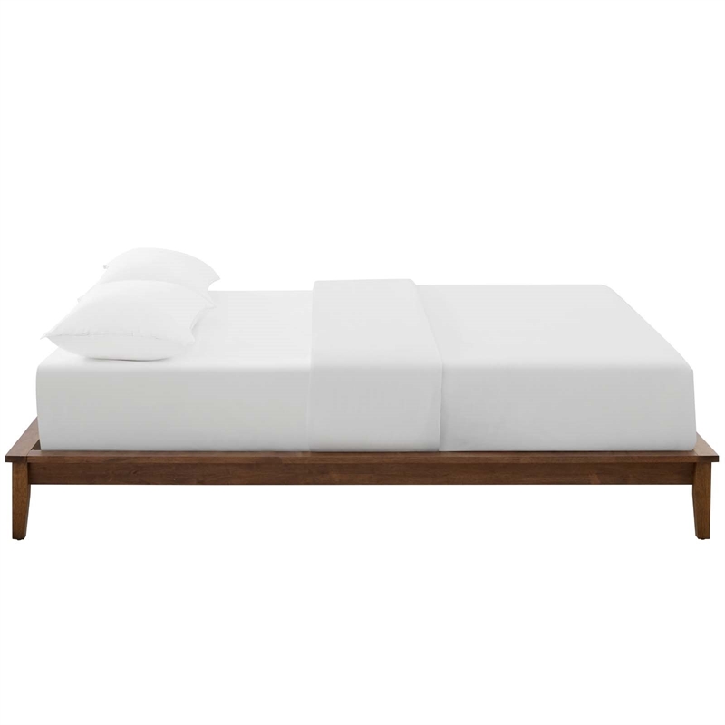 Modway Lodge Queen Mates Platform Bed in Walnut