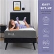 Modway Mila 6