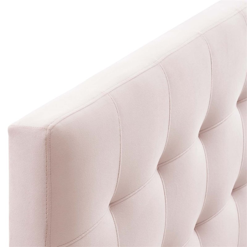 Modway Lily Queen Biscuit Tufted Performance Velvet Headboard in Pink
