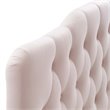 Modway Annabel Queen Diamond Tufted Performance Velvet Headboard in Pink