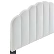 Modway Veronique Twin Modern Performance Velvet Headboard in White