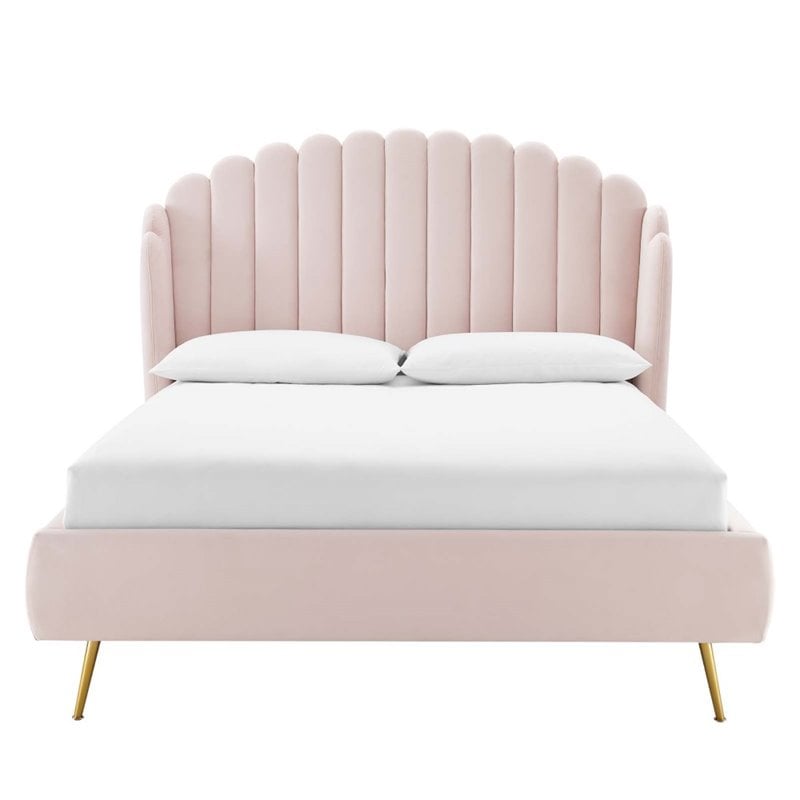 Modway Lana Queen Performance Velvet Wingback Platform Bed in Pink
