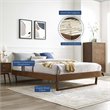 Modway Billie Twin Rubberwood and MDF Wood Platform Bed Frame in Walnut