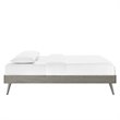 Modway Margo Twin MDF Wood and Rubberwood Platform Bed Frame in Gray