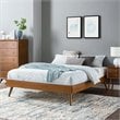 Modway Margo Twin MDF Wood and Rubberwood Platform Bed Frame in Walnut