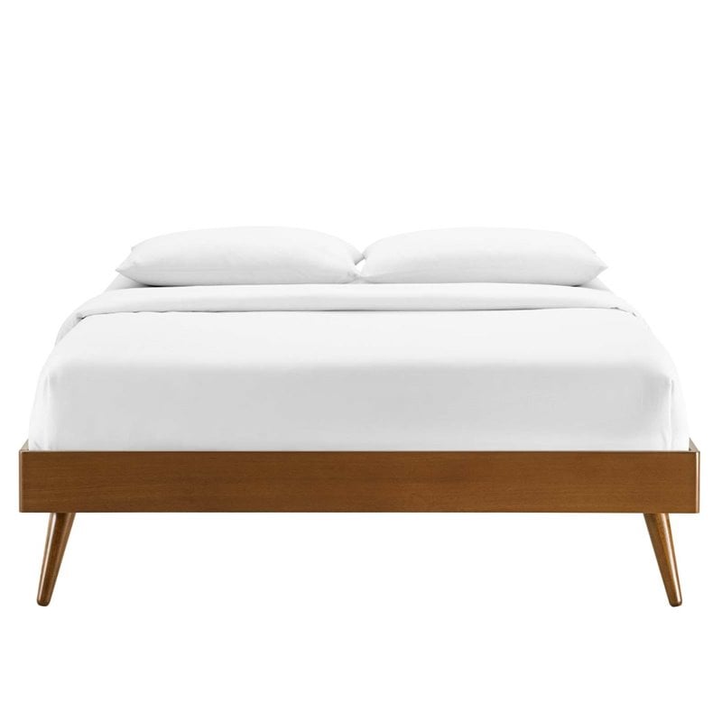 Modway Margo Twin MDF Wood and Rubberwood Platform Bed Frame in Walnut