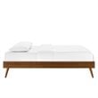 Modway Margo Twin MDF Wood and Rubberwood Platform Bed Frame in Walnut
