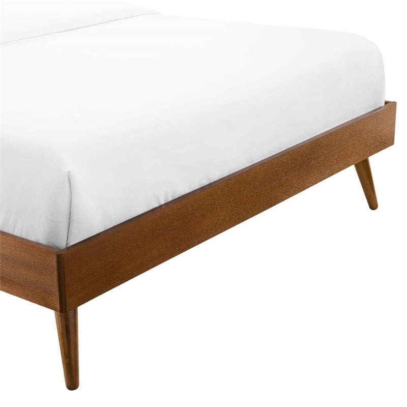 Modway Margo Twin MDF Wood and Rubberwood Platform Bed Frame in Walnut