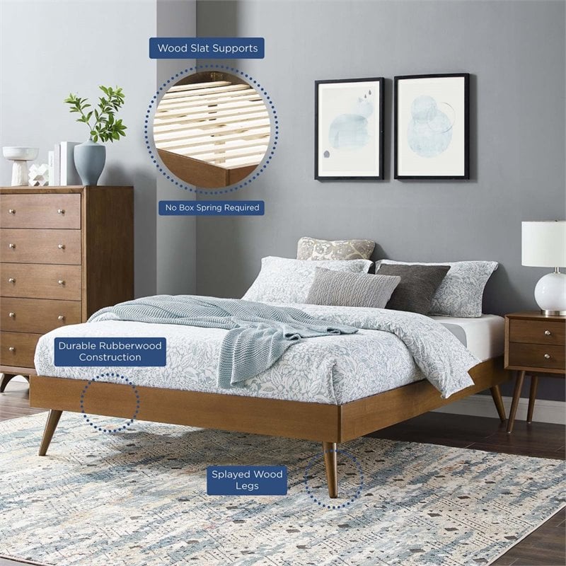 Modway Margo Twin MDF Wood and Rubberwood Platform Bed Frame in Walnut