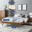 Modway Margo Twin MDF Wood and Rubberwood Platform Bed Frame in Walnut
