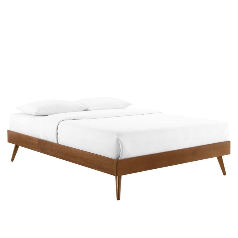 Modway Margo Twin MDF Wood and Rubberwood Platform Bed Frame in Walnut