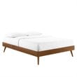 Modway Margo Twin MDF Wood and Rubberwood Platform Bed Frame in Walnut