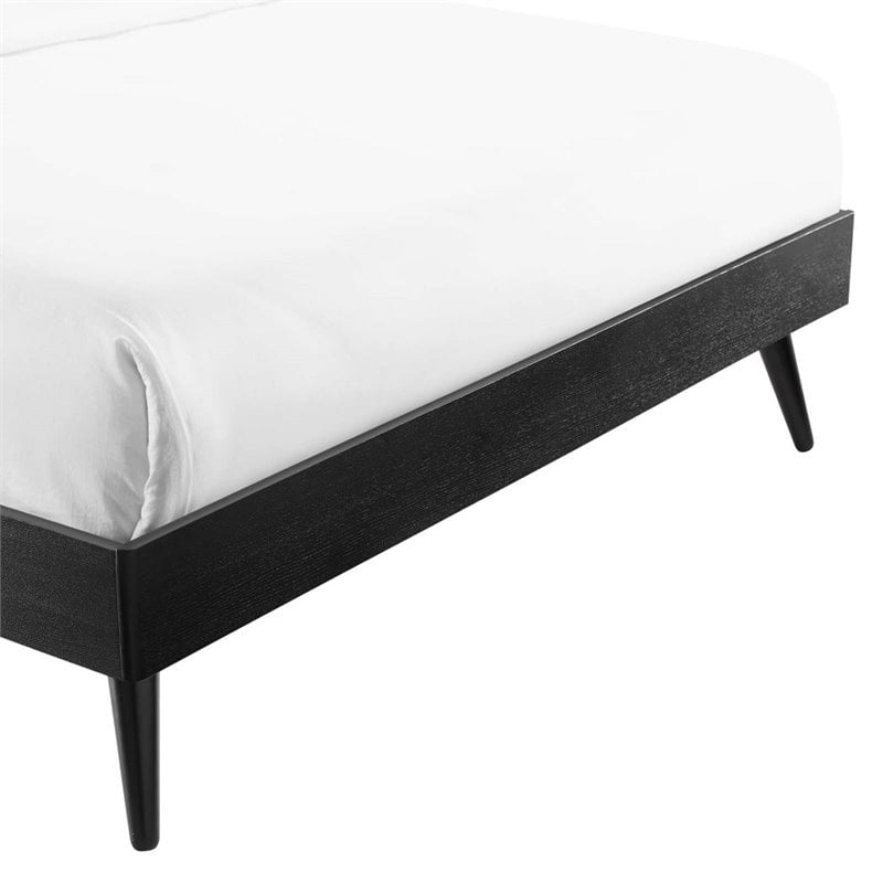 Modway Margo Full MDF Wood and Rubberwood Platform Bed Frame in Black
